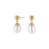 By The Sea Pearl Gold Plated Drop Earrings